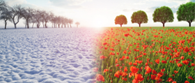 Adviser Weekly Newsletter 30 June 2021 Adviser Weekly Newsletter 30 June 2021